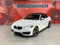 BMW-218 detalhes 1