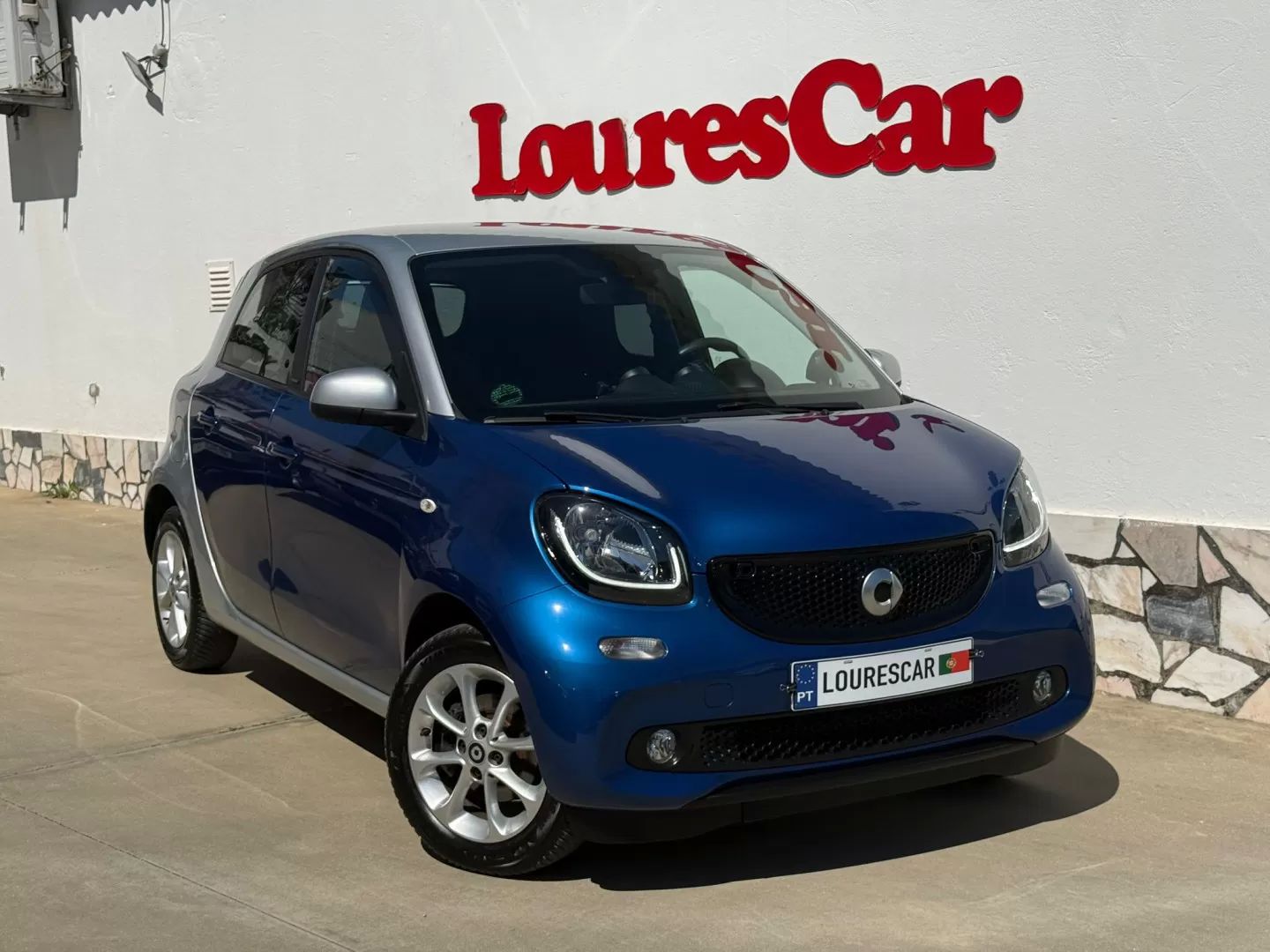 Large Image