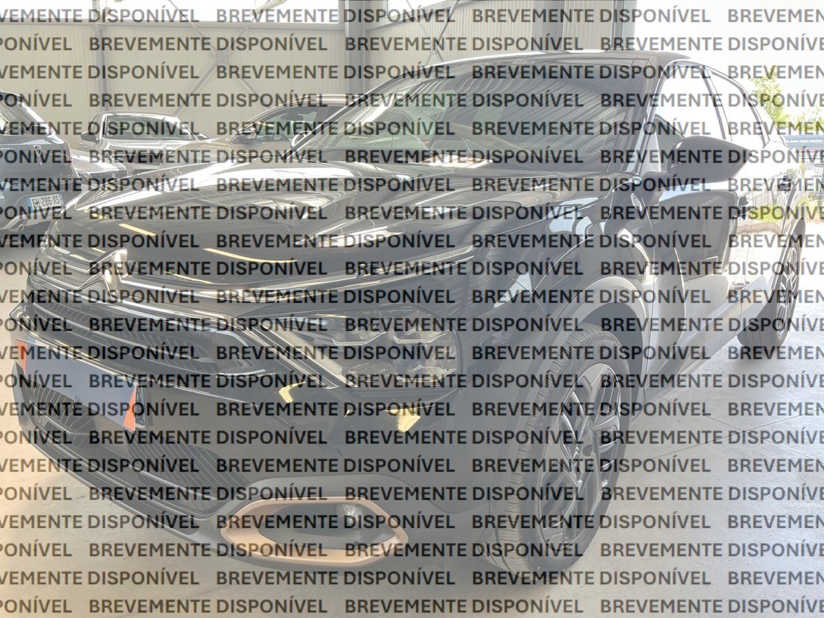Large Image