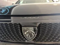 Peugeot-E-3008 detalhes 2