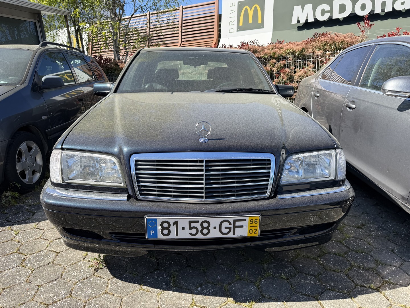 Large Image