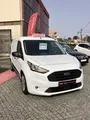 Ford-Transit Connect detalhes 1