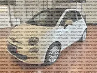 Fiat-500 Imagem Principal