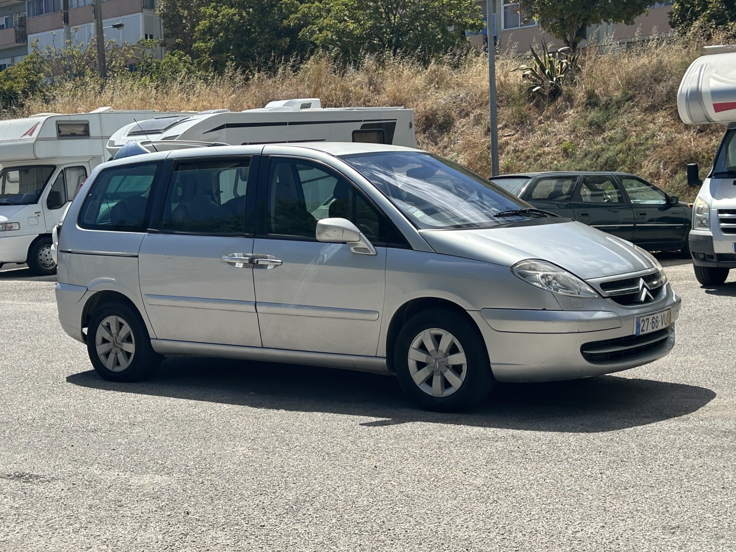 Large Image