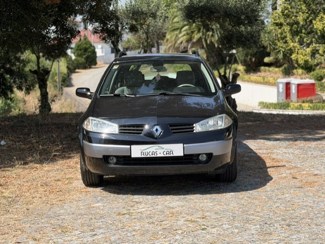 Large Image