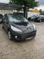 Peugeot-207 detalhes 1