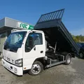Isuzu-NPR detalhes 1