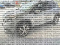 Peugeot-2008 Imagem Principal