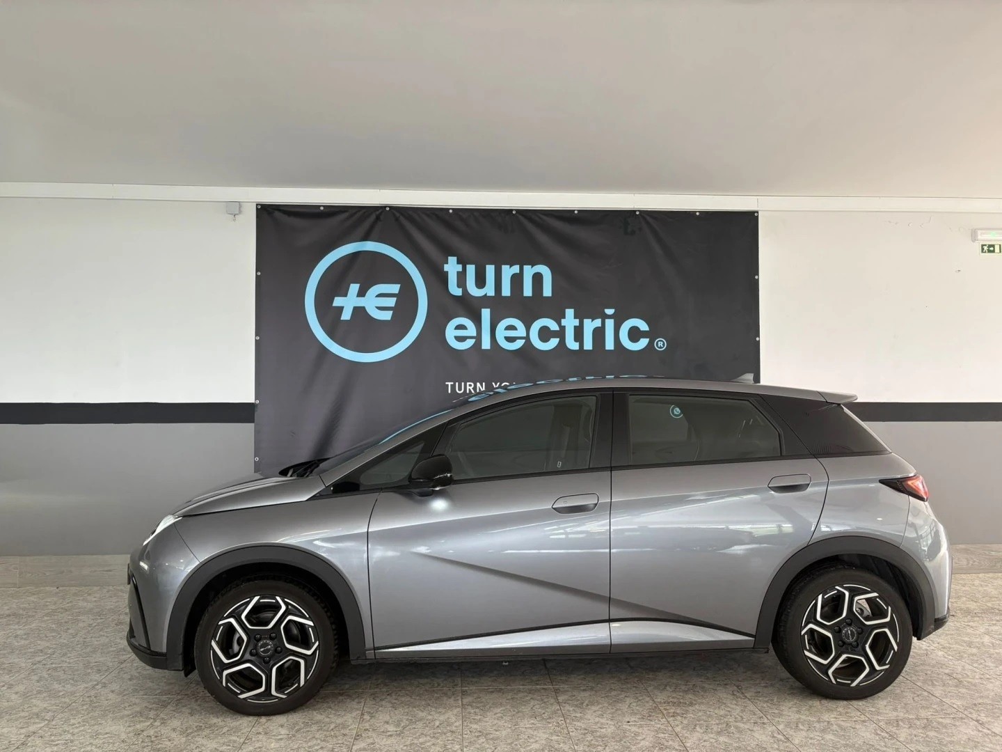 Large Image