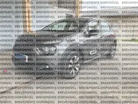 Citroën-C3 Imagem Principal