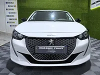 Peugeot-E-208 detalhes 1