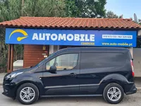 Ford-Transit Connect detalhes 1