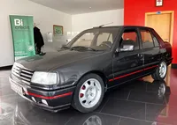 Peugeot-309 Imagem Principal